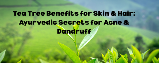 Tea Tree Benefits for Skin & Hair: Ayurvedic Secrets for Acne & Dandruff